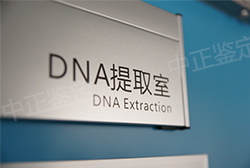 重庆办理上户口亲子鉴定中心在哪儿，重庆上户口亲子鉴定预约办理